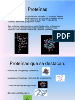 proteinas-exposición (1)