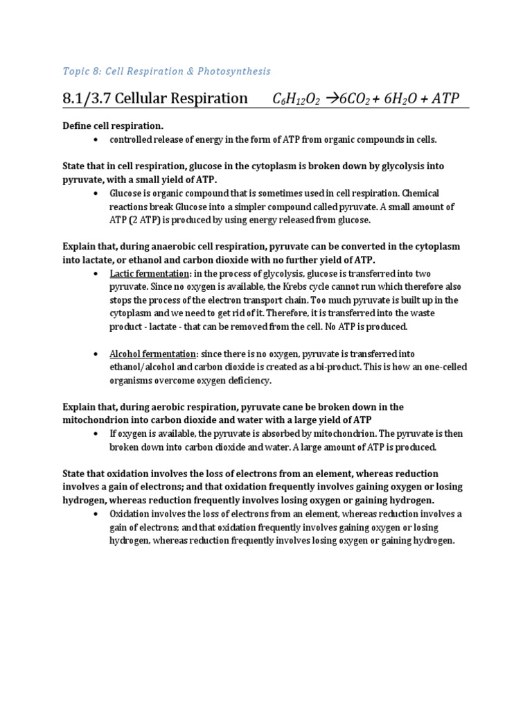 Cell Respiration and Photosynthesis Overview | PDF | Vocational ...