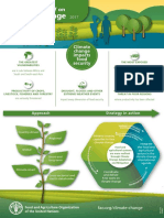 FAO Strategy Climate Change