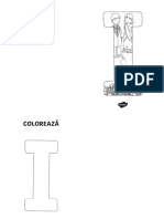 Ro l 008 Consolidarea Literei i Brosura Ver 1