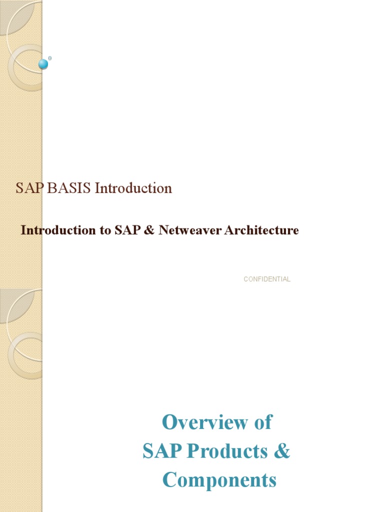SAP BASIS Overview and Introduction | PDF | Computing | Computer Science