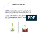 MEZCLAS Y COMBINACIONES ÓPTIMAS DE SUSTRATOS PARA HIDROPONÍA