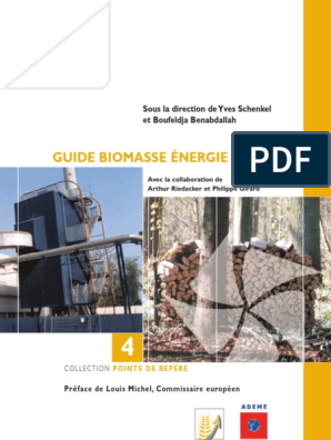 Biomasse, les différentes solutions à proposer pour stocker les bûches
