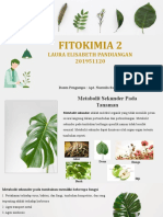 Fitokimia II