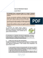 PDF Monografia Del Sistema Nacional de Presupuesto Publico Peru DD
