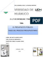 PDF 221911873 Monografia Del Presupuesto DD