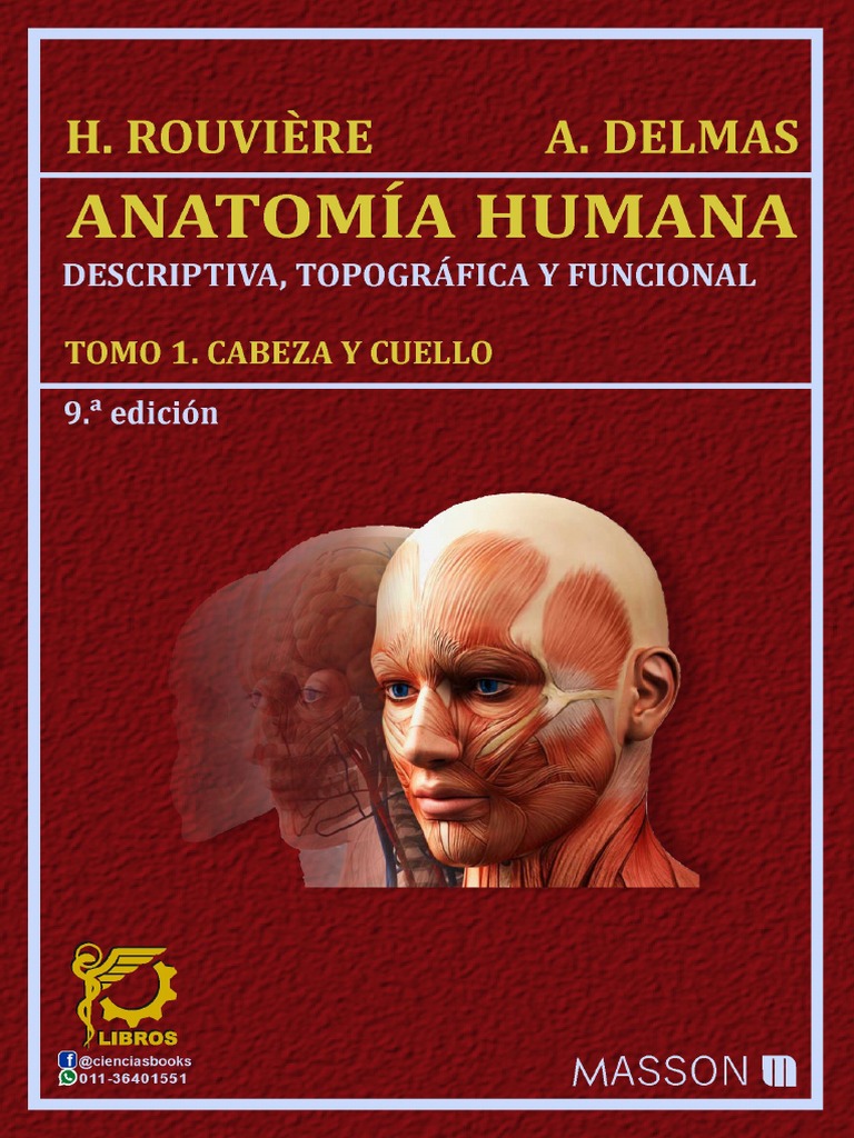 Anatomía Humana Rouvière Tomo 1 | PDF