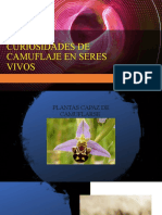 Curiosidades de Camuflaje en Seres Vivos