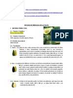 Estudio de Mercado de La Palta