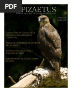 Download zopilote rey by coleonyx SN55446122 doc pdf