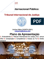 Tribunal Internacional de Justica (2021)-1