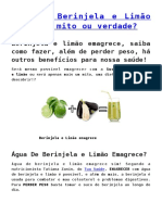 Suco de Berinjela e Limão Emagrece Mito Ou Verdade