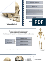 Sistemul Osos