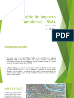 Relatório de Impacto Ambiental - RIMA