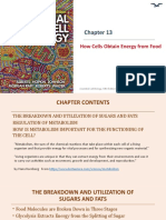 How Cells Obtain Energy From Food