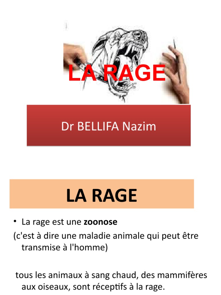 Quelle Est La Cible Du Virus De La Rage – TLWK