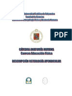 3 modulo2- Osteologia_Apendicular