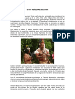 Mitos Indigenas Amazonia