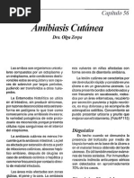 Download amibiasis cutanea by Flor Mall SN55451796 doc pdf