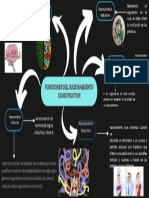 Azul y Negro Mapa Mental Presentación