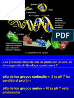 4) Aminocidos