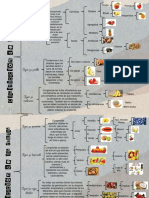 Clasificación de Las Frutas y Hortalizas