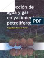 Libro Magdalena Paris de Ferrer Inyección de Agua y Gas en Yacimientos Petroliferos