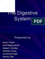11-20 Digestive System