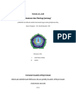 Sistem Organ Pada Manusia Jantung