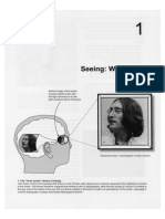 Seeing: What Is It?: 1.1 An "Inner Screen" Theory of Seeing