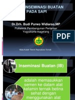 Teknik Inseminasi Buatan Pada Sapi: DR - Drh. Budi Purwo Widiarso, MP