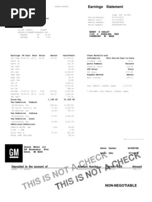 pay stub