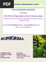 R.B. (PG) College, Agriculture Campus, Agra: DR - Pushpendra Karhana