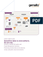 Gemalto Encryption Crypto Manager Brochure