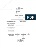 PDF Pathway Konstipasi Compress