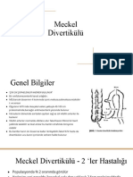 Meckel Divertikülü