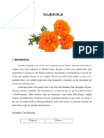 Marigold PDF