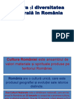 Cultura Si Divesitatea Culturala in Romania