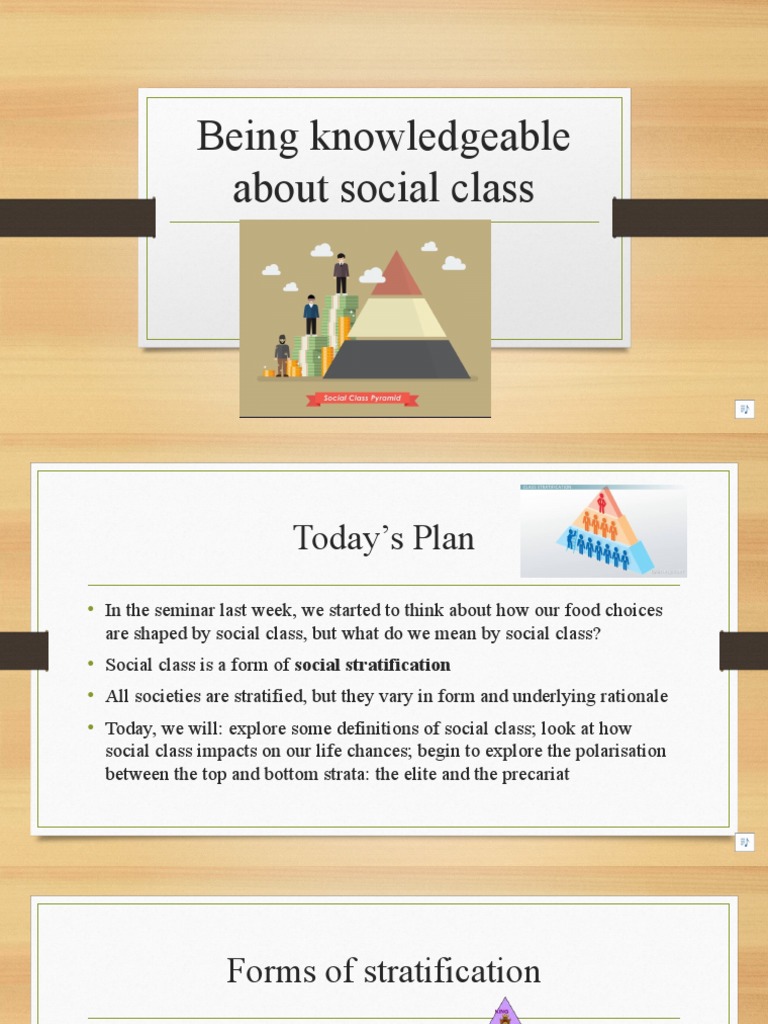 Understanding Social Class Dynamics | PDF | Social Stratification ...