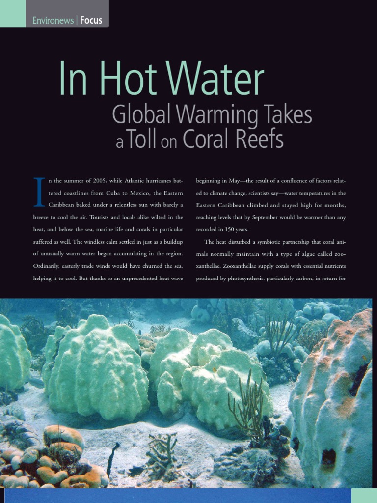 Impact of Climate Change on Coral Reefs | PDF | Coral Reef | Coral