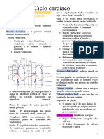 Ciclo cardíaco e pressão arterial