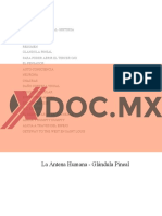 Xdoc - MX La Antena Humana Glandula Pineal