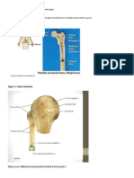 Figure 1 Bone Anatomy: Figures For TBL B Pre-Reading: Bone Development/repair