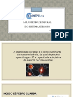 Neuroplasticidade e aprendizagem