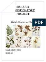 Herbarium Sheets Project on Biology Investigatory Project