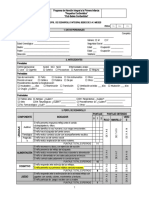 FORMATO PERFIL DE DESARROLLO INTEGRAL Bebés Consentidos