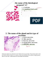 What Is The Name of The Histological Preparation?