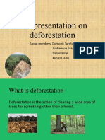 Our Presentation On Deforestation: Group Members: Domonic Turnbull Andreanna Evans Daniel Rose Keniel Clarke