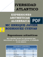 Expresiones Aritmeticas y Algebraicas