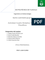 Actividad - Cuadro Sinóptico - Modelos Filosóficos